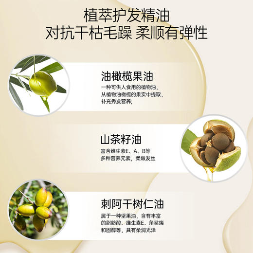 【69元会员福利】澳雪小黄姜水滢柔润焗油发膜500g 商品图2