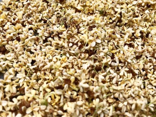 【野生桂花 】桐庐山涧  野生桂花  自然晾干// 做桂花糕、蒸馒头、做甜品，装点你的生活~ 商品图5