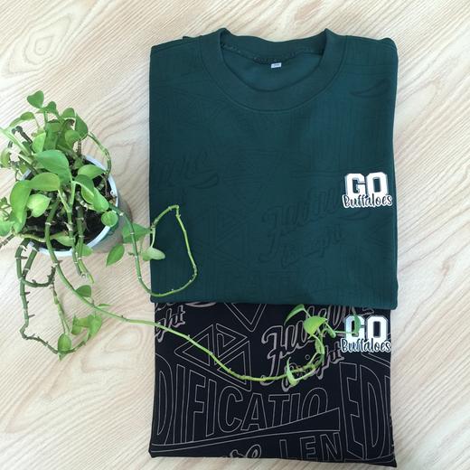 圆领卫衣男宽松长袖打底休闲印花上衣  FL-T232070【2070】* 商品图0