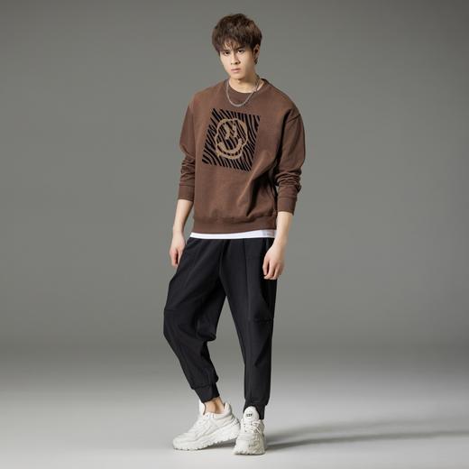 PINLI品立2023秋季新款男士上衣毛巾绣圆领套头卫衣潮BG233109001 商品图3