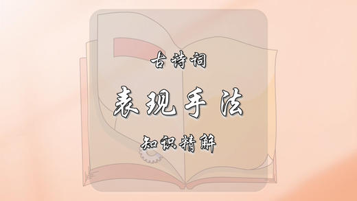 古诗词鉴赏常见表现手法知识精解 商品图0