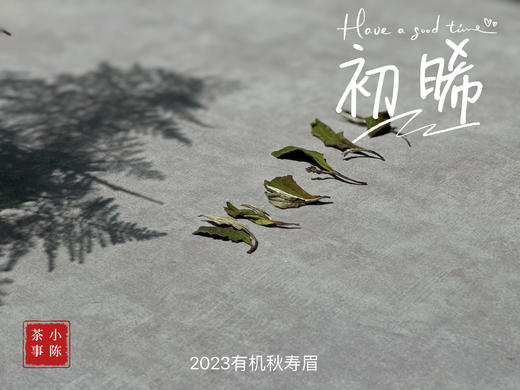 2023年的第一款秋白茶，2023有机秋寿眉《初晞》，野劲毫香几可乱真荒野韵！ 商品图3