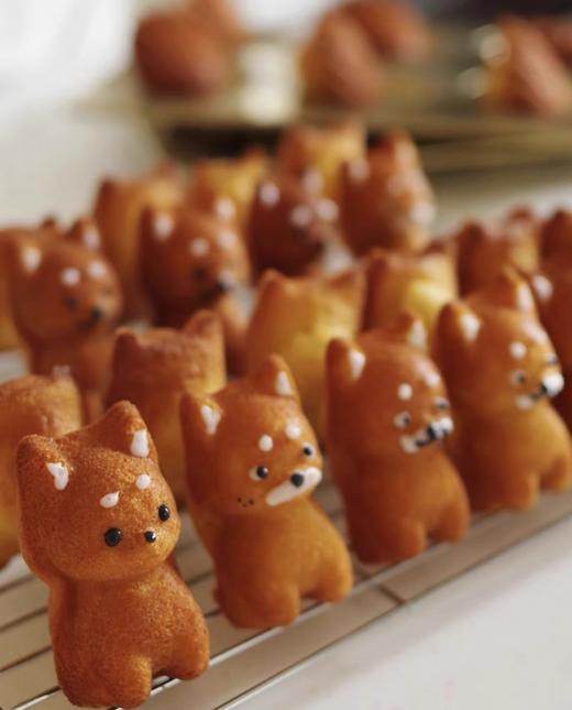 小柴犬 · MINI奶糕（柴犬表情随机） 商品图2