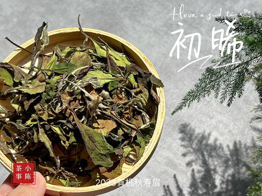 2023年的第一款秋白茶，2023有机秋寿眉《初晞》，野劲毫香几可乱真荒野韵！ 商品图2