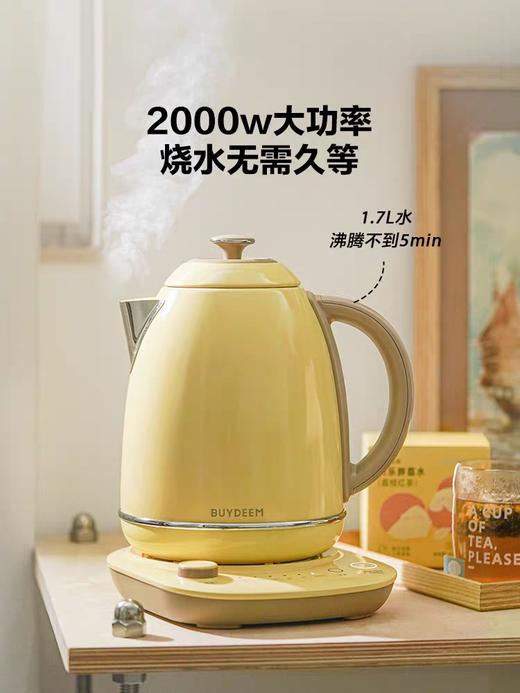 【北鼎调温电热水壶】北鼎家用大容量不锈钢恒温烧水壶自动保温泡茶K740C 商品图0