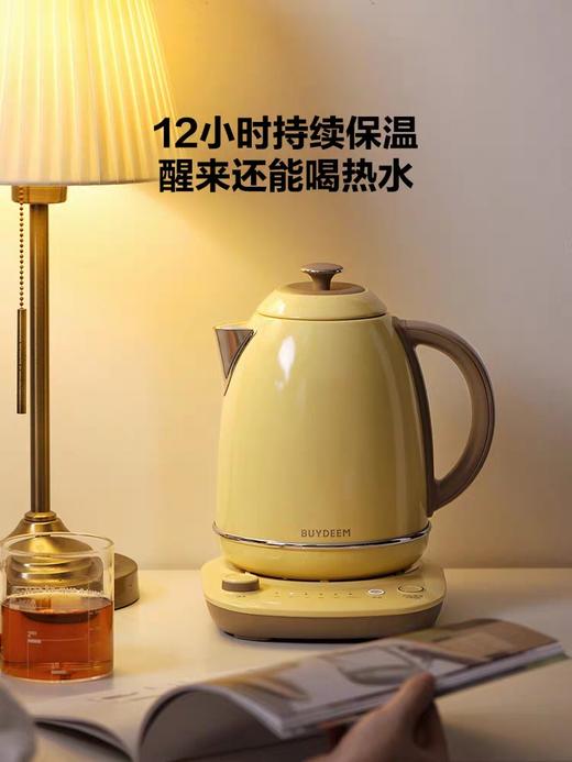 【北鼎调温电热水壶】北鼎家用大容量不锈钢恒温烧水壶自动保温泡茶K740C 商品图2