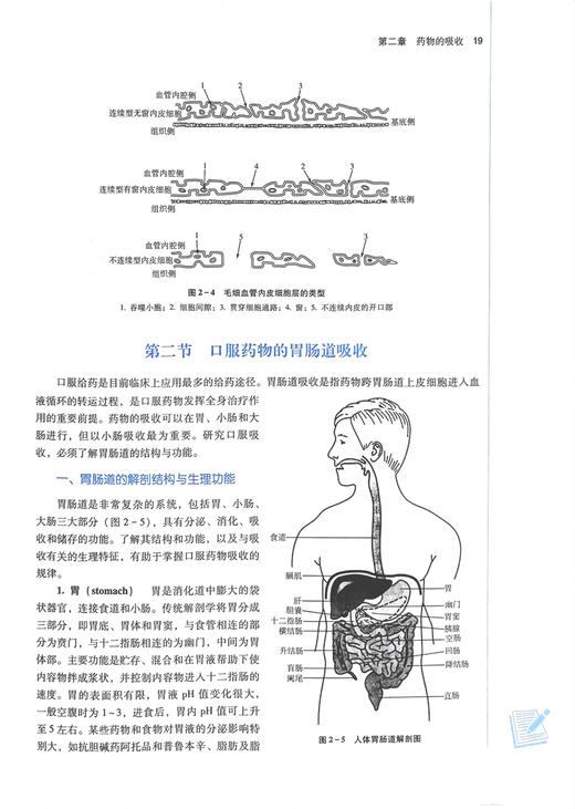 生物药剂学与药物动力学 新世纪第三版3版 龚慕辛 贺福元 全国中医药行业高等教育十四五规划教材 中国中医药出版社9787513282475 商品图3