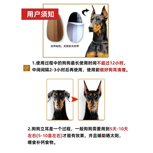 狗狗立耳贴2套盒装 耳部护理耳朵矫正贴 成犬幼犬立耳神器批发 商品图3