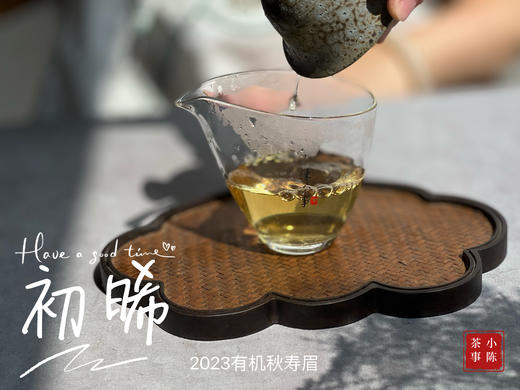 2023年的第一款秋白茶，2023有机秋寿眉《初晞》，野劲毫香几可乱真荒野韵（1斤收藏装） 商品图4