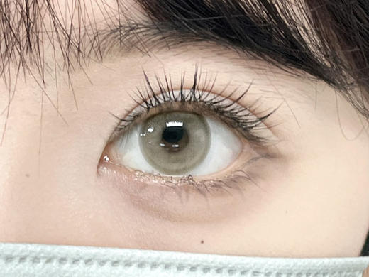 Wonder is 美瞳半年抛 乌龙啵啵 直径14.2mm着色13.4mm 商品图13