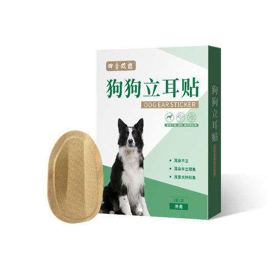 狗狗立耳贴2套盒装 耳部护理耳朵矫正贴 成犬幼犬立耳神器批发 商品图4