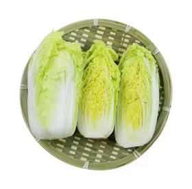 朝日唯品 有机娃娃菜300g/份