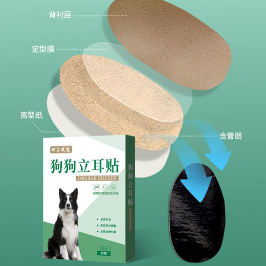 狗狗立耳贴2套盒装 耳部护理耳朵矫正贴 成犬幼犬立耳神器批发 商品图1