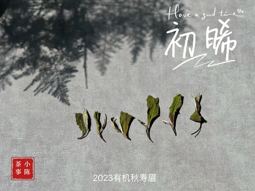 2023年的第一款秋白茶，2023有机秋寿眉《初晞》，野劲毫香几可乱真荒野韵！ 商品图7