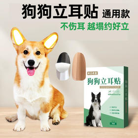 狗狗立耳贴2套盒装 耳部护理耳朵矫正贴 成犬幼犬立耳神器批发