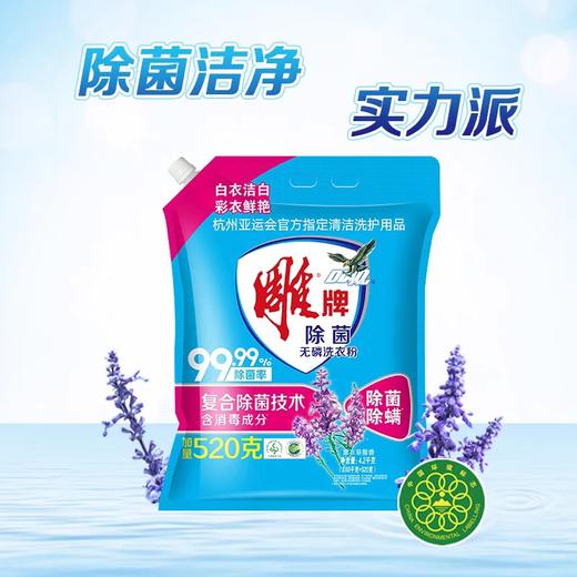 雕牌除菌无磷洗衣粉（3.68kg+520g）/包 商品图1
