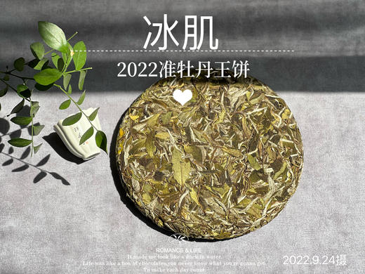 2022准牡丹王饼《冰肌》来了，娉娉婷婷，飘扬而至 商品图3