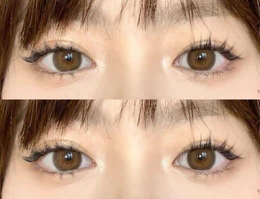 【大直径日抛】D18·姜饼浣熊·Winni丨14.5mm（日抛/一大盒10片装） 商品图3