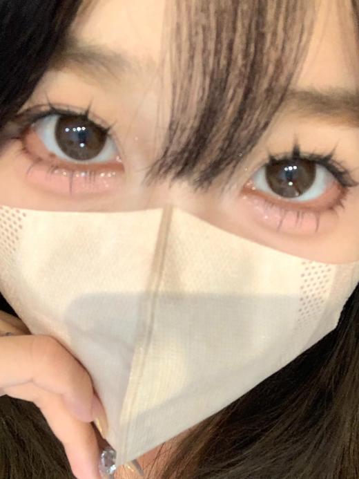 【大直径日抛】D18·姜饼浣熊·Winni丨14.5mm（日抛/一大盒10片装） 商品图2