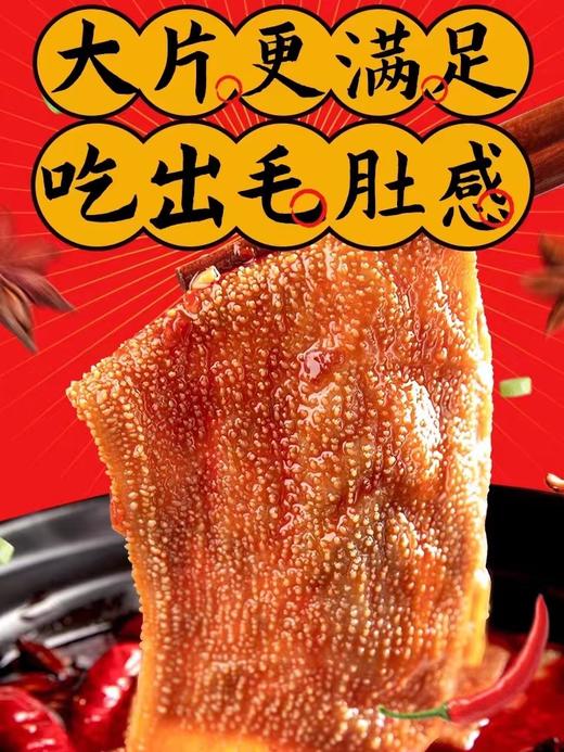 盐津铺子一大袋火锅素毛肚200g 商品图2