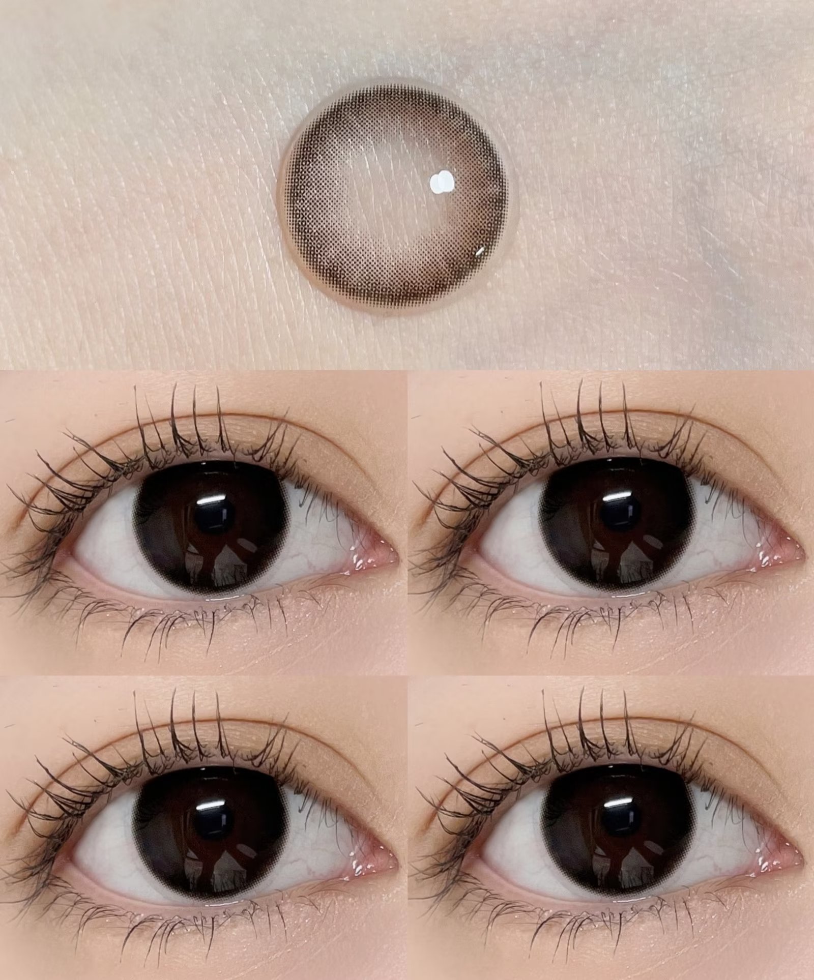 【日抛】D23·魔法黑猫·Winni丨14.0mm（日抛/一大盒10片装）