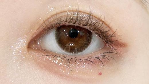 【大直径日抛】D18·姜饼浣熊·Winni丨14.5mm（日抛/一大盒10片装） 商品图6