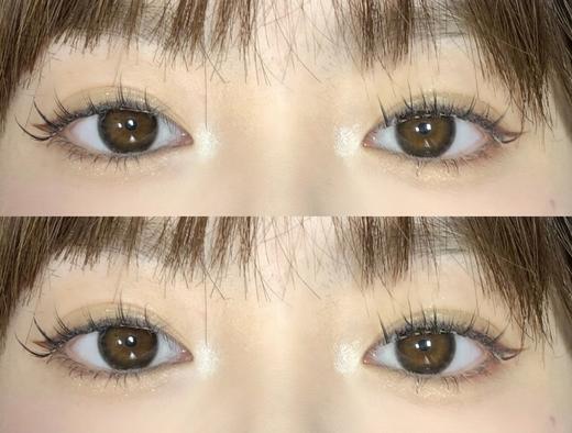 【日抛】D23·魔法黑猫·Winni丨14.0mm（日抛/一大盒10片装） 商品图3