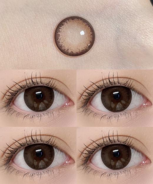 【大直径日抛】D20·肉肉熊咪·Winni丨14.5mm（日抛/一大盒10片装） 商品图0