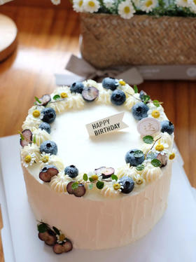 水果蛋糕款式五（蓝莓）