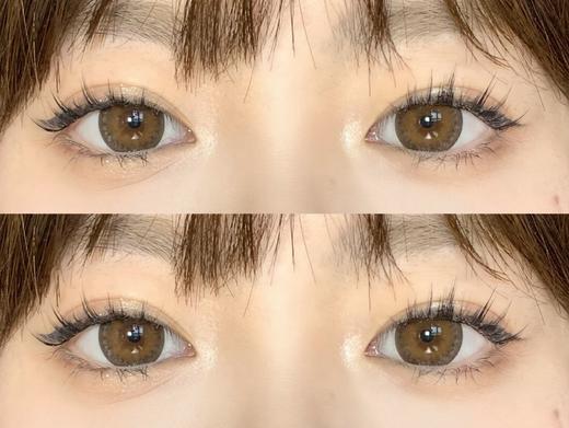 【大直径日抛】D20·肉肉熊咪·Winni丨14.5mm（日抛/一大盒10片装） 商品图4