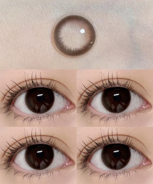 【日抛】D19·糕糕企鹅·Winni丨14.2mm（日抛/一大盒10片装） 商品图0