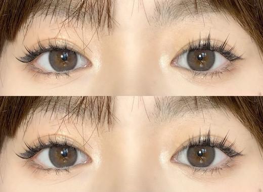 【日抛】D16·水滴豚豚·Winni丨14.2mm（日抛/一大盒10片装） 商品图6