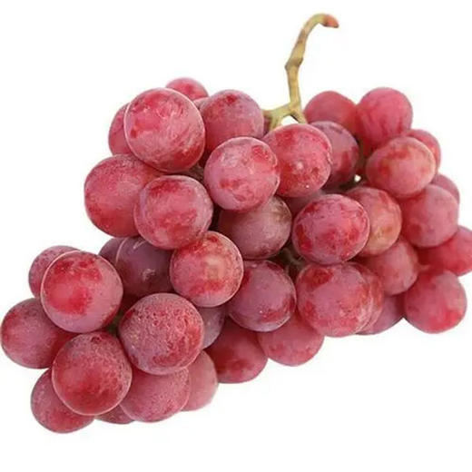 【13.9元2斤】精品红提（1500879） 商品图0