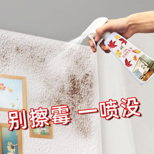 墙体除霉剂霉斑清洁剂洗衣机密封条去霉点墙面墙纸去污家用防霉 商品图1