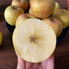 云南高原黄金维纳斯丑苹果 商品缩略图13