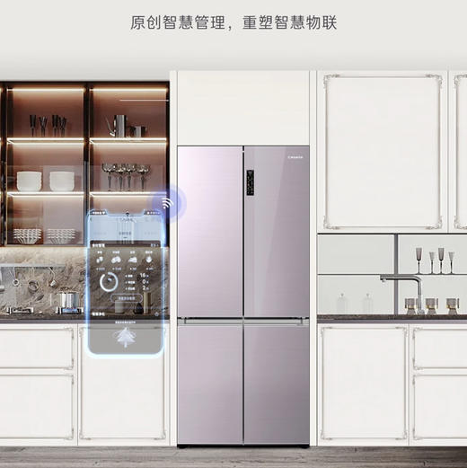 卡萨帝（Casarte）冰箱BCD-507WGCTDM4V3U1 商品图10