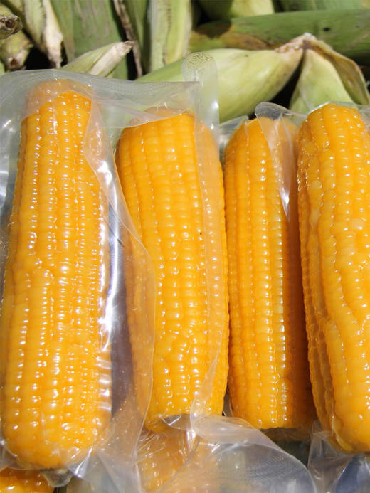 掰掰熊香糯玉米220g8支装 商品图3