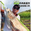 【猛攻淦将战队】坦克轻量鲢鳙大物竿鱼竿手竿超轻超硬钓鱼竿手杆大物杆台钓竿 商品缩略图2