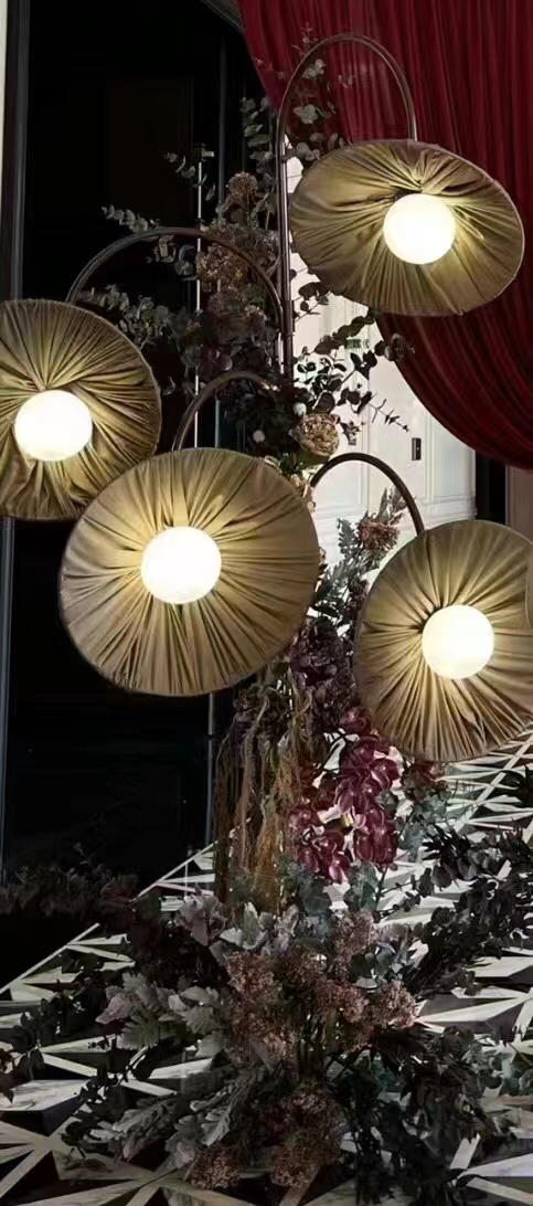 4头蓬叶路引【运费自理】 商品图2