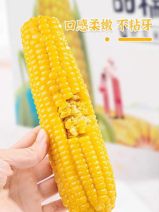 掰掰熊香糯玉米220g8支装 商品图1