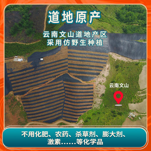 玉衡仿野生三七粉 云南文山三七 超细粉 128g 商品图6