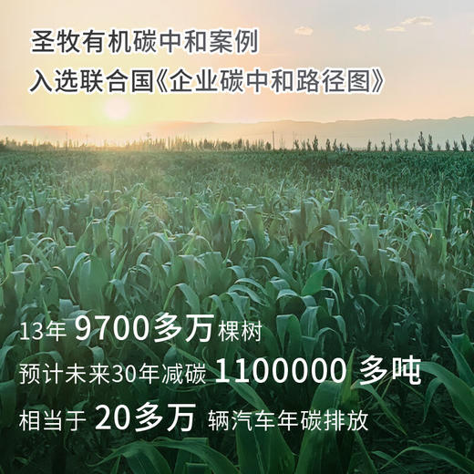 圣牧有机纯牛奶 品醇200ml*12盒 牧场 纯净有机可追溯 口感清爽 商品图5