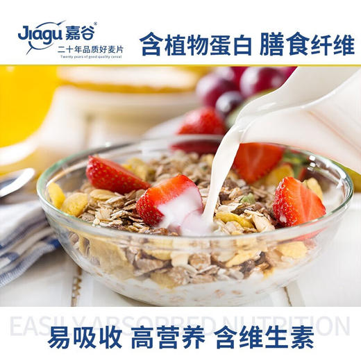 嘉谷（Jiagu）什锦五谷燕麦片  冲饮谷物 未添加蔗糖 即食代餐营养早餐 1800罐装 商品图7