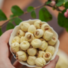 【建宁通心白莲】250克/袋 可以生吃的“脾之果”； 莲子 商品缩略图1