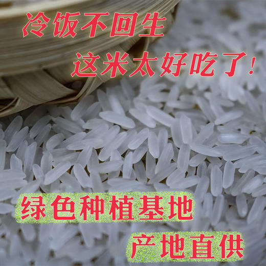 沅江大米 粮晟油粘米10kg【CSZY】 商品图3