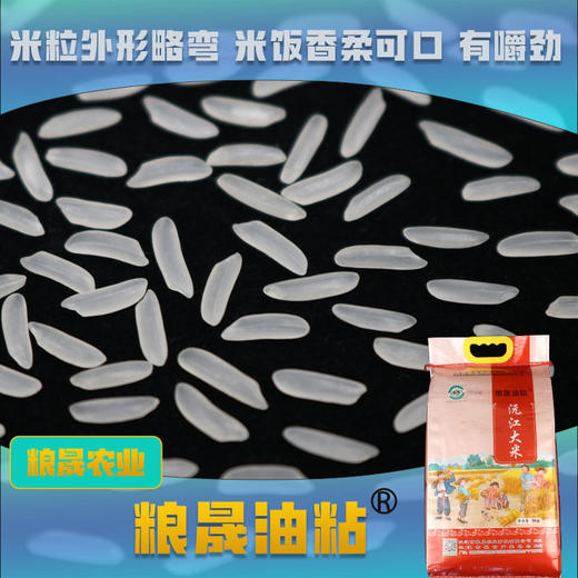 沅江大米 粮晟油粘米10kg【CSZY】 商品图1