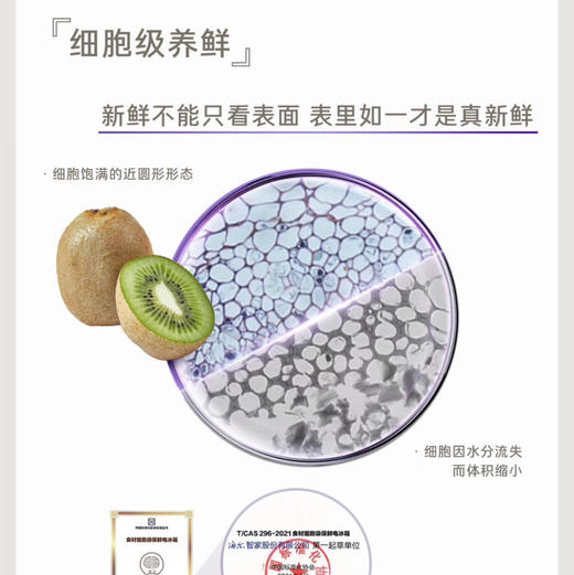 卡萨帝（Casarte）冰箱BCD-502WGCFDM4V3U1 商品图5