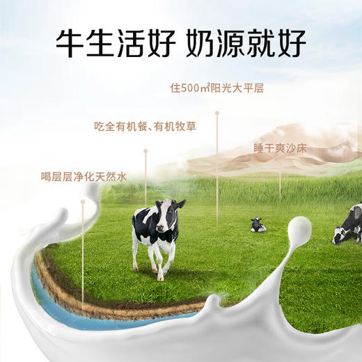 圣牧有机纯牛奶 品醇200ml*12盒 牧场 纯净有机可追溯 口感清爽 商品图4