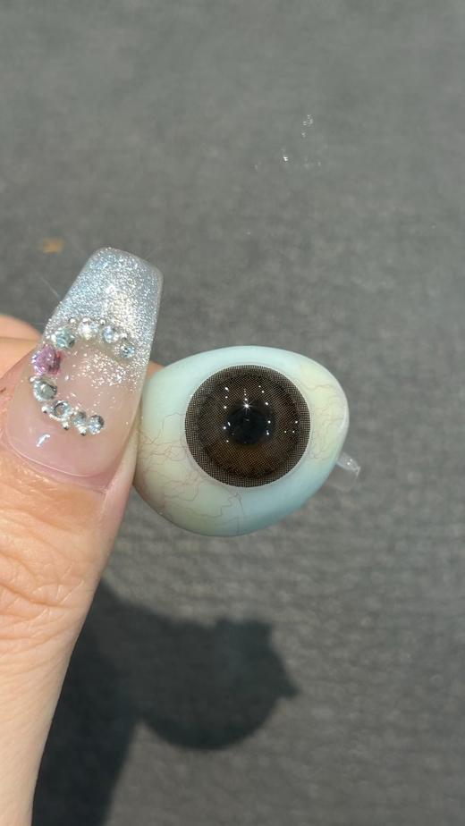 Winni日抛--D20肉肉熊咪 商品图9