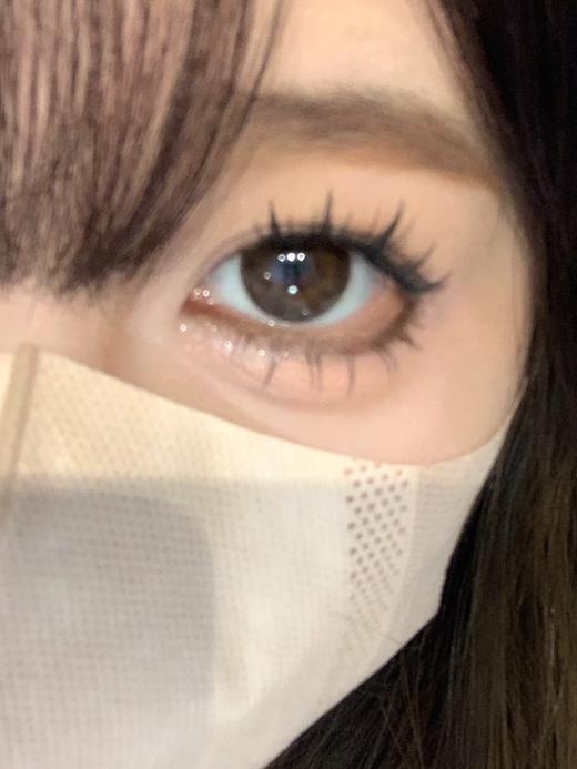 Winni日抛--D20肉肉熊咪 商品图1